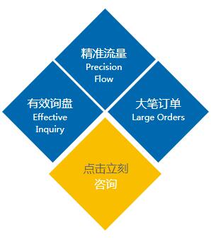廣州軟文營銷系統與網站排名公司 驅動互聯網信息服務的雙引擎